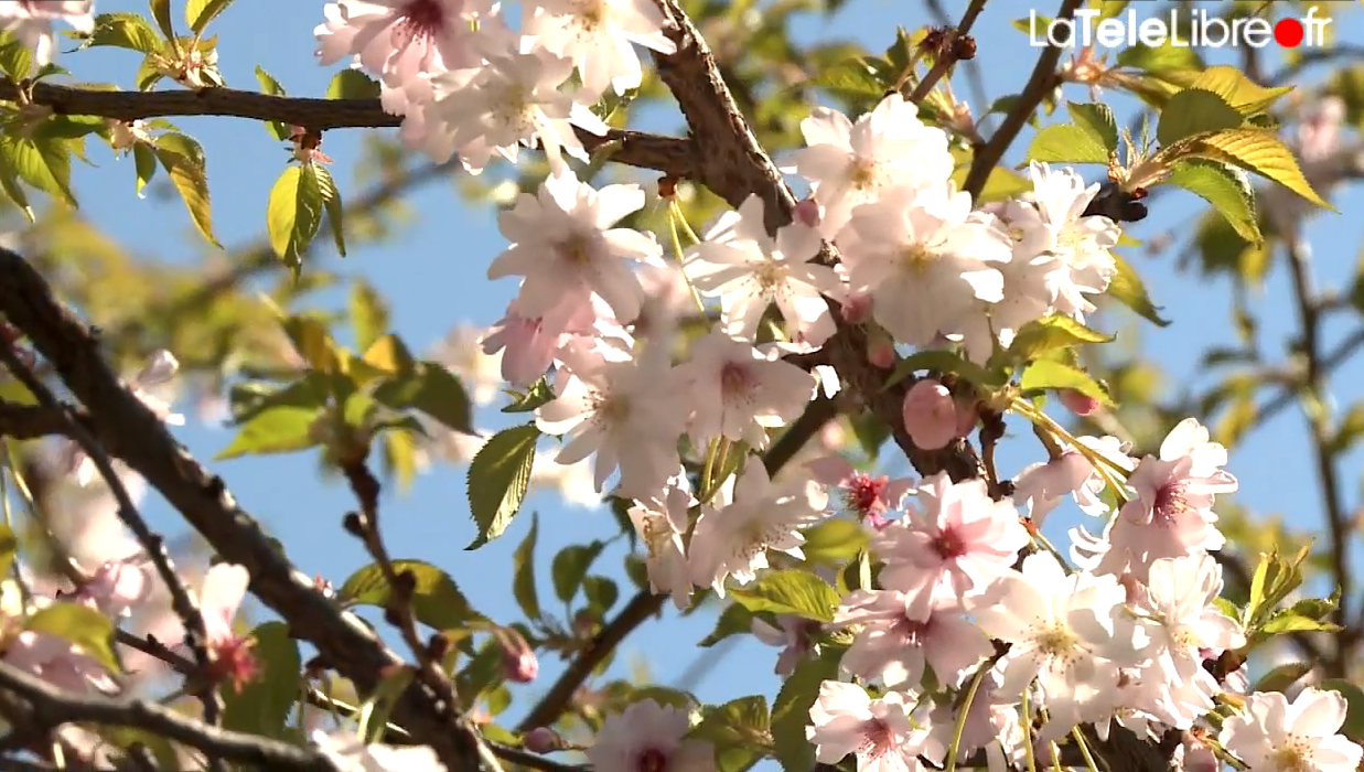Le Printemps, c’est Maintenant