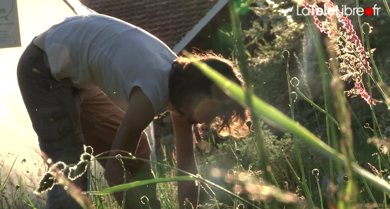 À la Recherche du Thym Perdu