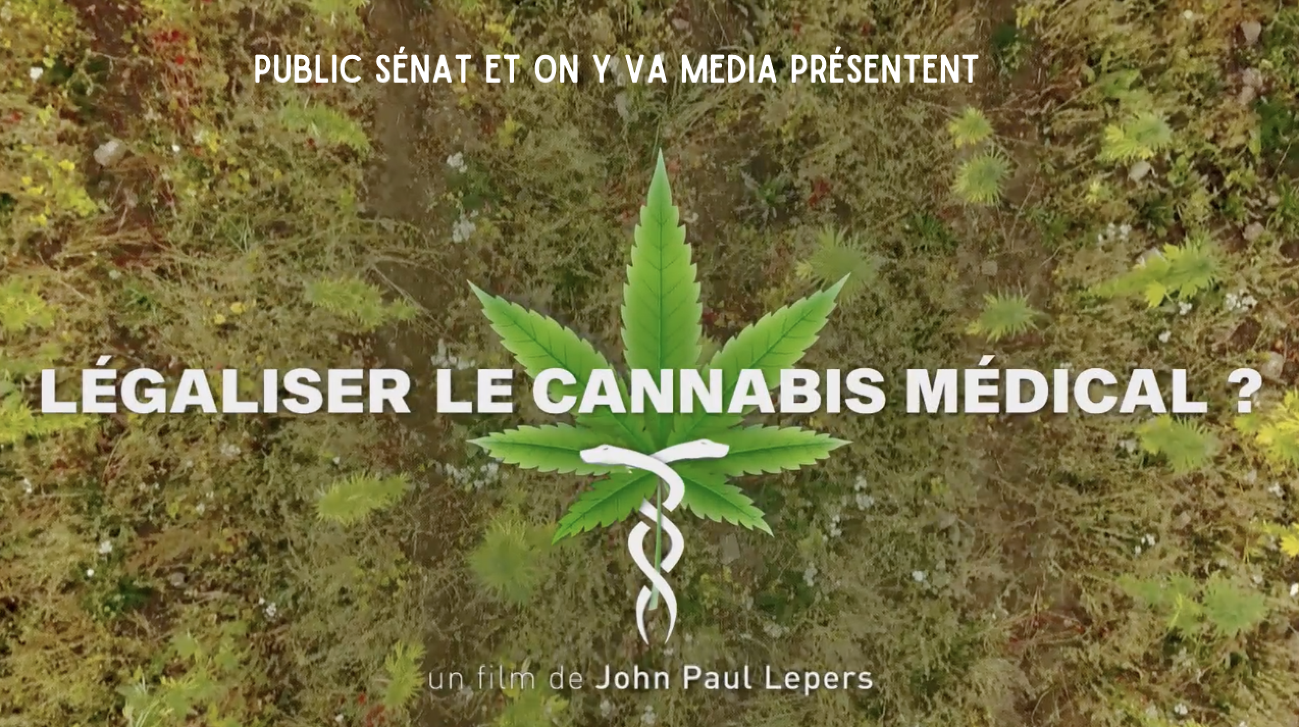 Légaliser le Cannabis Médical ?
